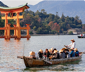 Jobs after diploma recognition in Mechanical/Electrical Engineering